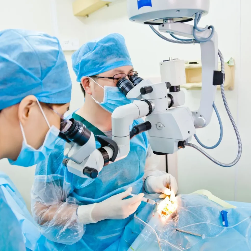 Gastrointestinal Surgeries